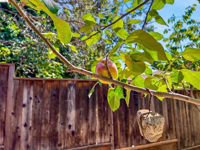 4287 Fair Ave, Oakland, CA 94619