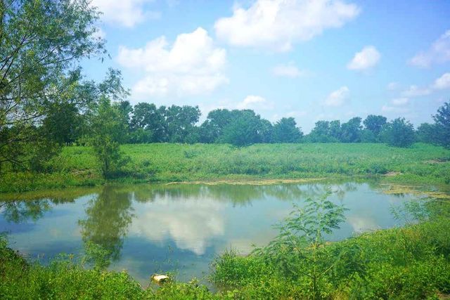 00065 County Road 419, Navasota, TX 77868