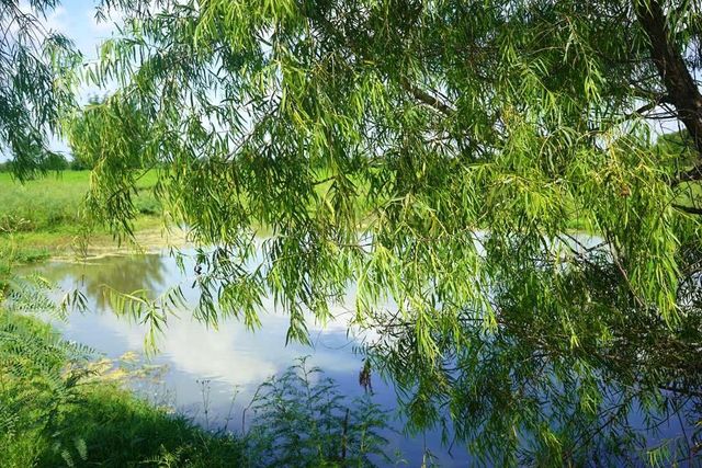 00065 County Road 419, Navasota, TX 77868