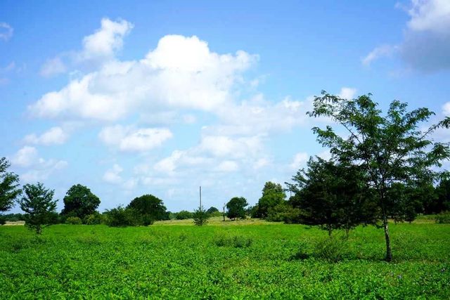 00065 County Road 419, Navasota, TX 77868