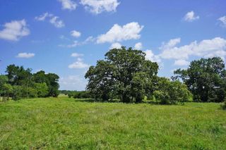 00065 County Road 419, Navasota, TX 77868
