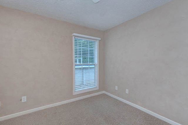 49 Calhoun Creek Road, Hamilton, GA 31811