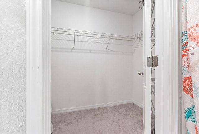 10206 COOL WATERLILY AVENUE, Riverview, FL 33578