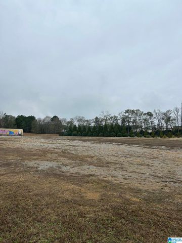 400 W COLLEGE STREET, Columbiana, AL 35051