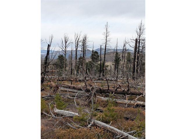 2301 Wohlstetter Loop, Fort Garland, CO 81133