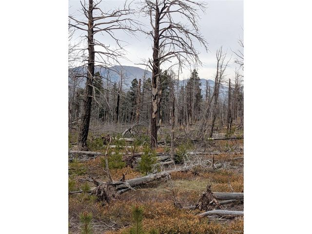 2301 Wohlstetter Loop, Fort Garland, CO 81133