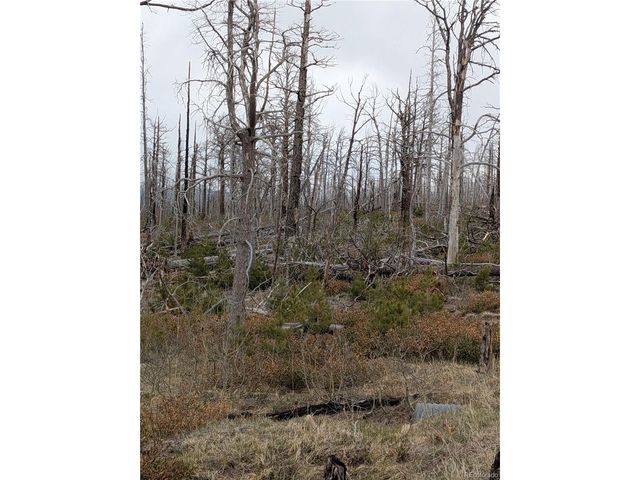 2301 Wohlstetter Loop, Fort Garland, CO 81133