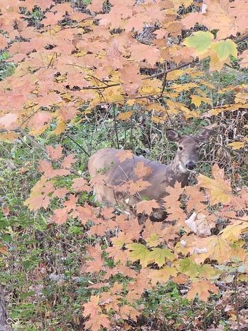 1732 Creekside Lane W, Carmel, IN 46032