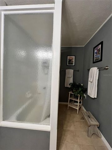 810 N TREMAIN STREET, Mount Dora, FL 32757