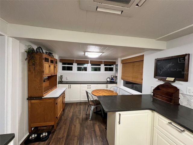 810 N TREMAIN STREET, Mount Dora, FL 32757