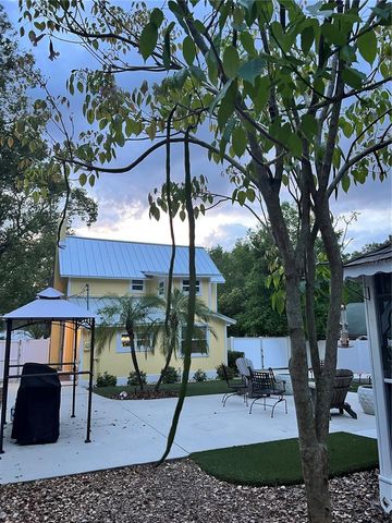 810 N TREMAIN STREET, Mount Dora, FL 32757