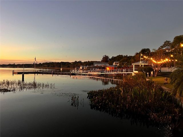 810 N TREMAIN STREET, Mount Dora, FL 32757