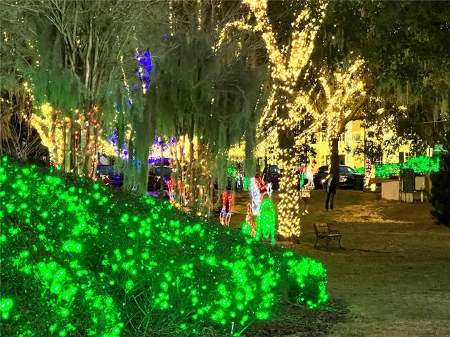 810 N TREMAIN STREET, Mount Dora, FL 32757