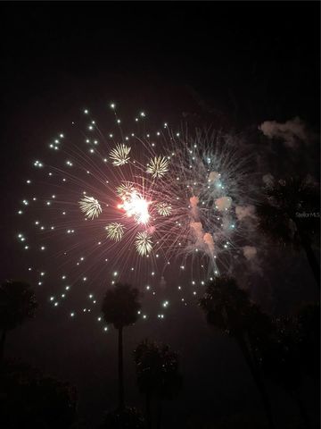 810 N TREMAIN STREET, Mount Dora, FL 32757