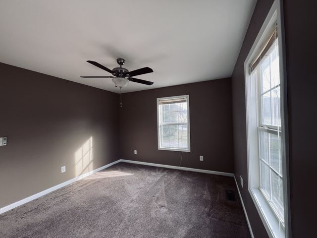 8659 Dog Branch Rd, Mount Pleasant, TN 38474