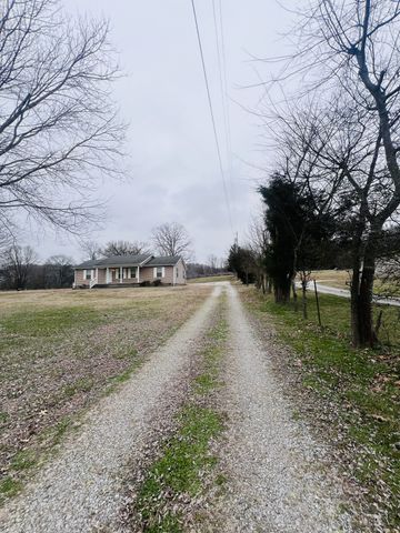 8659 Dog Branch Rd, Mount Pleasant, TN 38474