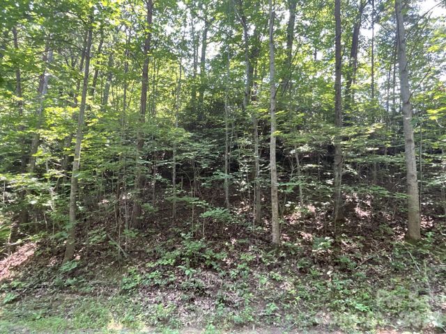 Lot 77 Winesap Boulevard, Lake Lure, NC 28746