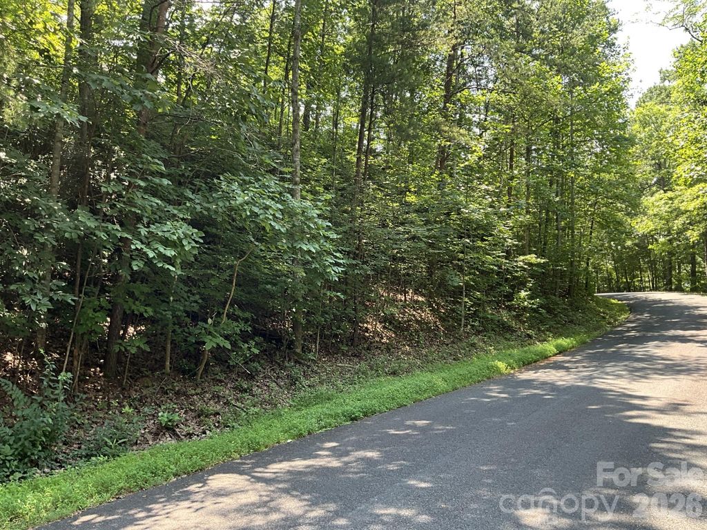 Lot 77 Winesap Boulevard, Lake Lure, NC 28746