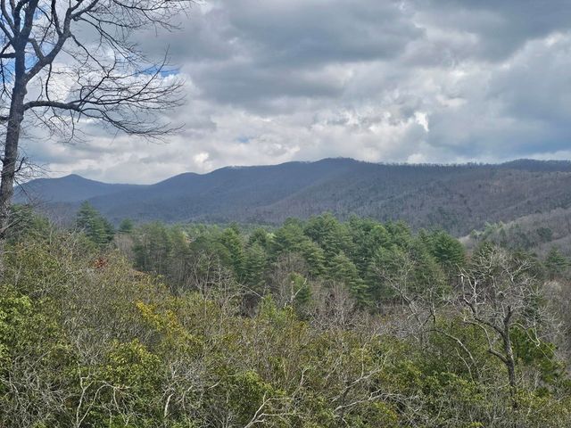 60 Silver Fox Circle, Murphy, NC 28906