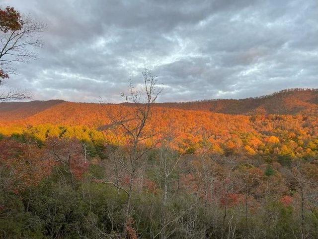 60 Silver Fox Circle, Murphy, NC 28906