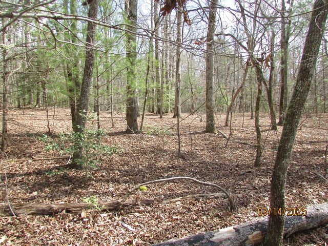 10.5 ac. Phillips Road, Young Harris, GA 30582