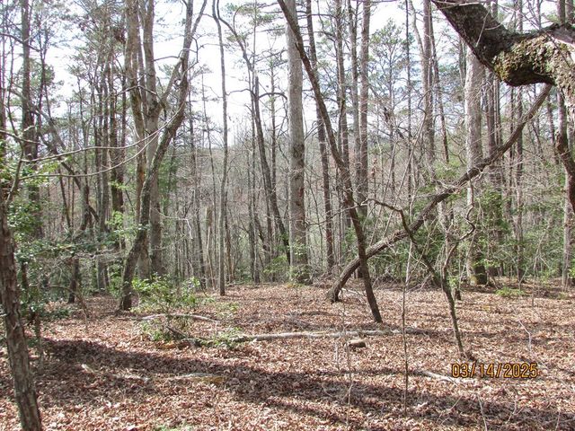 10.5 ac. Phillips Road, Young Harris, GA 30582