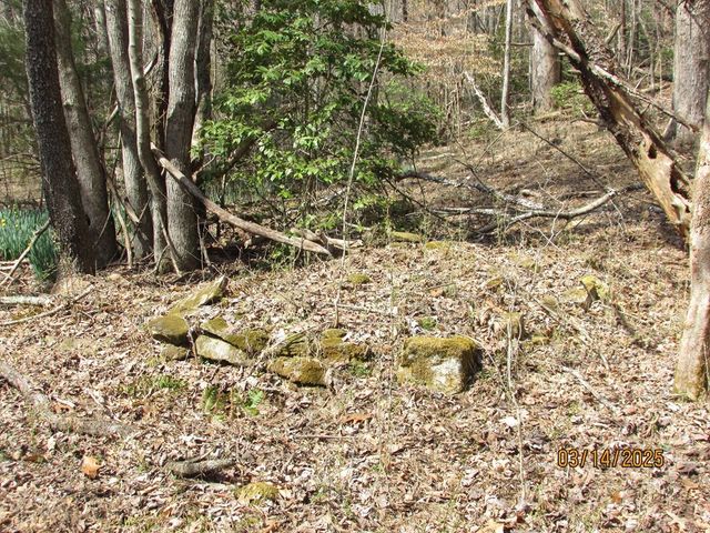 10.5 ac. Phillips Road, Young Harris, GA 30582