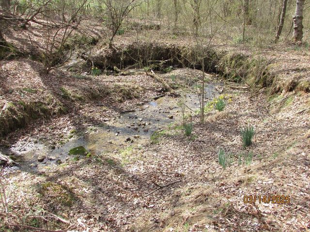 10.5 ac. Phillips Road, Young Harris, GA 30582