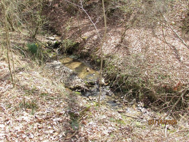 10.5 ac. Phillips Road, Young Harris, GA 30582