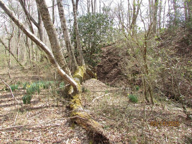 10.5 ac. Phillips Road, Young Harris, GA 30582