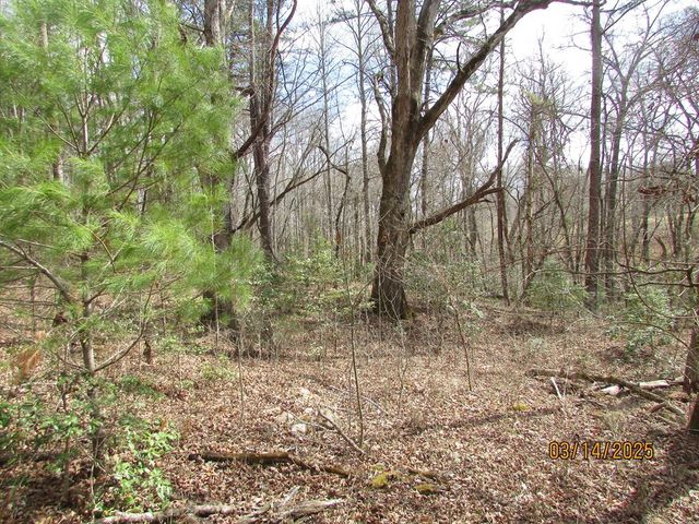10.5 ac. Phillips Road, Young Harris, GA 30582