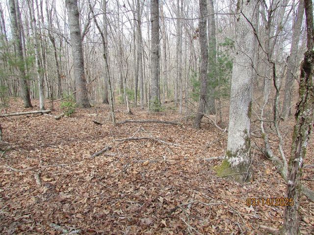 10.5 ac. Phillips Road, Young Harris, GA 30582