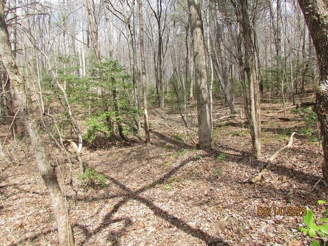 10.5 ac. Phillips Road, Young Harris, GA 30582