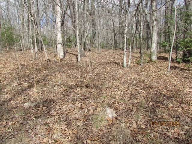 10.5 ac. Phillips Road, Young Harris, GA 30582