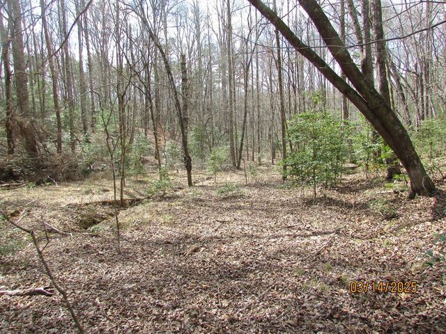 10.5 ac. Phillips Road, Young Harris, GA 30582