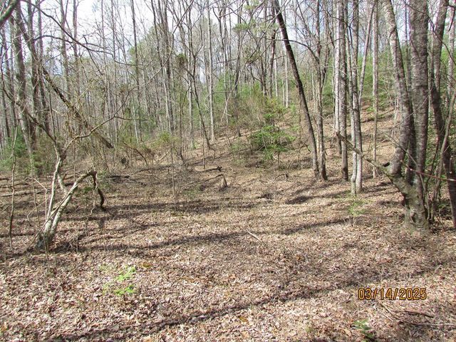 10.5 ac. Phillips Road, Young Harris, GA 30582