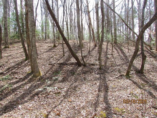 10.5 ac. Phillips Road, Young Harris, GA 30582