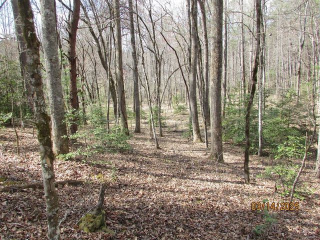 10.5 ac. Phillips Road, Young Harris, GA 30582