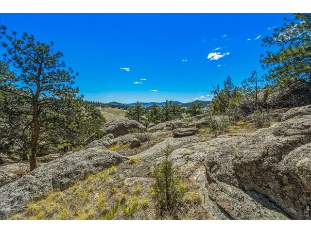 511 Green Mountain Dr, Livermore, CO 80536