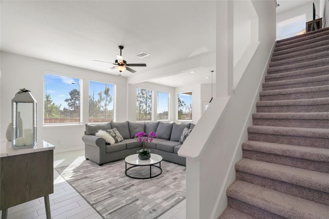 648 Silver Pear Court, Montgomery, TX 77316