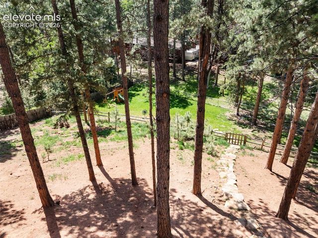 1231 W Midland Avenue, Woodland Park, CO 80863