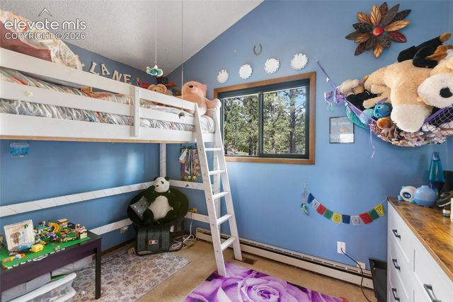 1231 W Midland Avenue, Woodland Park, CO 80863