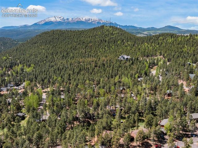 1231 W Midland Avenue, Woodland Park, CO 80863