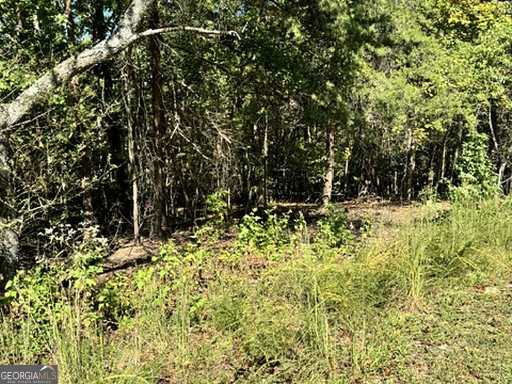 0 Whippoorwill Way, Alto, GA 30510 — photo 4