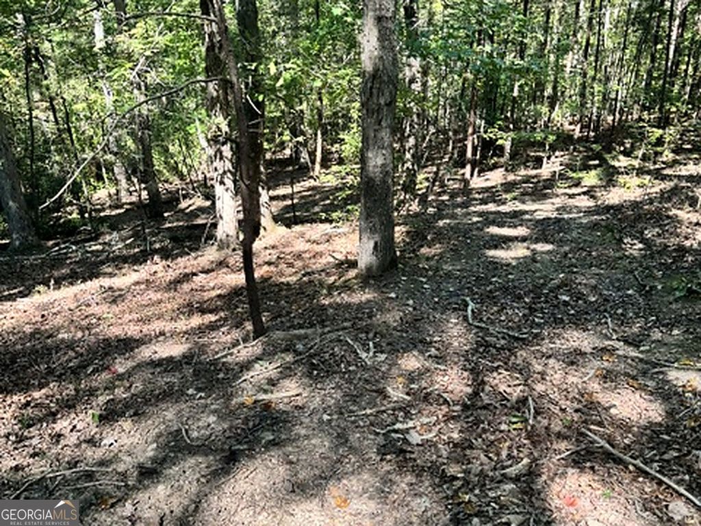 0 Whippoorwill Way, Alto, GA 30510 — photo 5