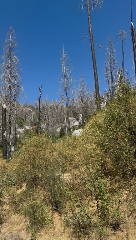 Image 1 of property listing at 36980 Peterson Road, Auberry, CA 93602
