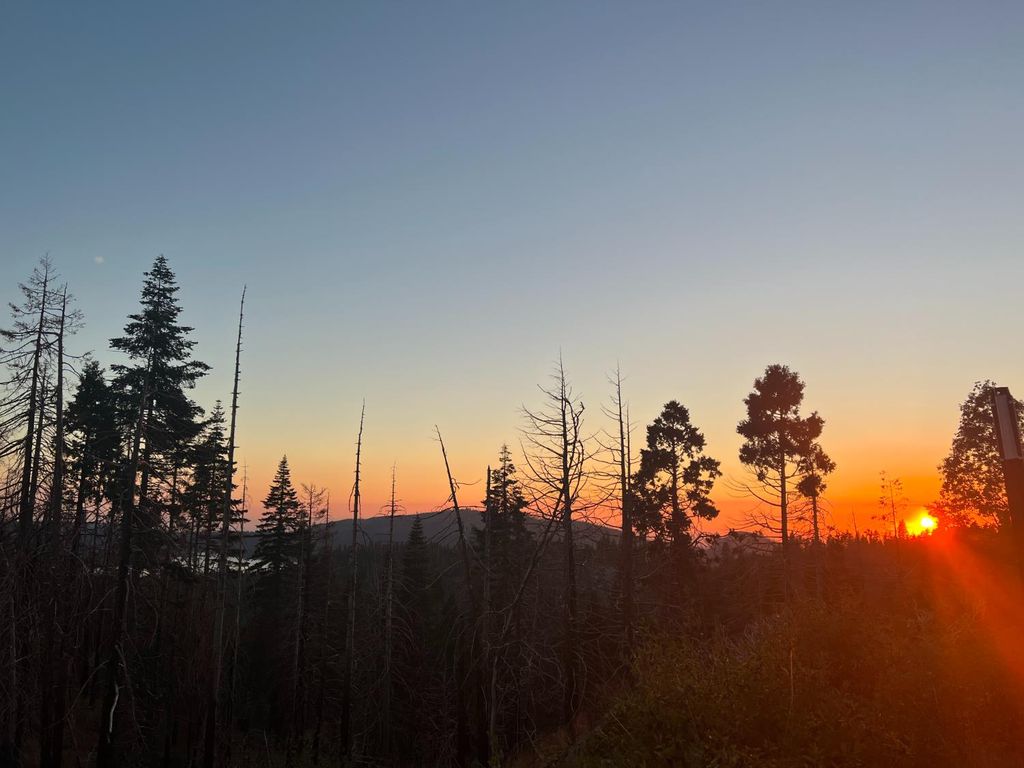 Image 11 of property listing at 36980 Peterson Road, Auberry, CA 93602