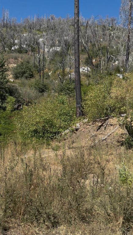 Image 6 of property listing at 36980 Peterson Road, Auberry, CA 93602
