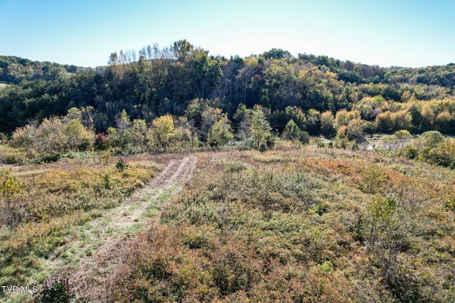 Lot 1 Burkey Road, Greeneville, TN 37743