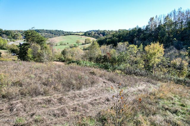 Lot 1 Burkey Road, Greeneville, TN 37743